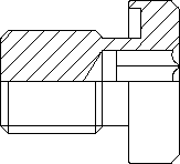 BSP socket headed plug with 3869 seal