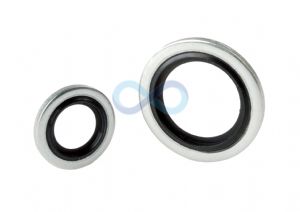 Dowty Bonded Seal / Washer