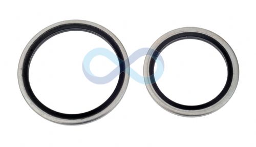 Cetop Bonded Seals For BSP Threads