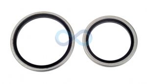 Cetop Bonded Seals For BSP Threads