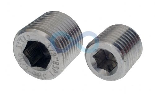 Blank Plug 1/4
