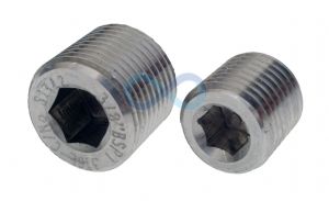 Stainless Steel Internal Hex Male BSP and NPT Plug