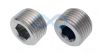 Plug Nickel Plated Brass Int Hex 1/8