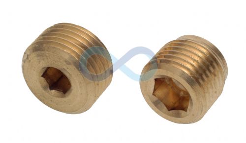 Brass Internal Hex Male Metric Blanking Plug with Parallel Threads 
