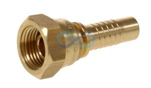 Brass  BSP Swivel Female Parallel