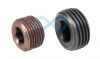 Blanking plug Steel 1/8 - 1.5 BSPT