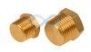 Brass Solid Hex Male BSPT and NPT Blanking Plug