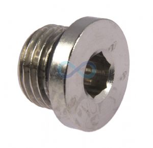 Plug Nickel Plated Brass Int Hex Metric & BSPP