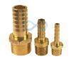 Hose Tail - Brass BSPT 1/8