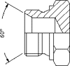 BSP coned plug to DIN 3852 Form A