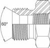 BSP Male 60 Deg Cone x BSPT Fixed Female Bush